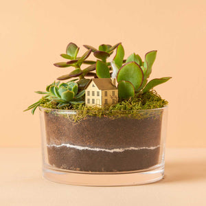 another studio house terrarium decorationanother studio house terrarium decoration